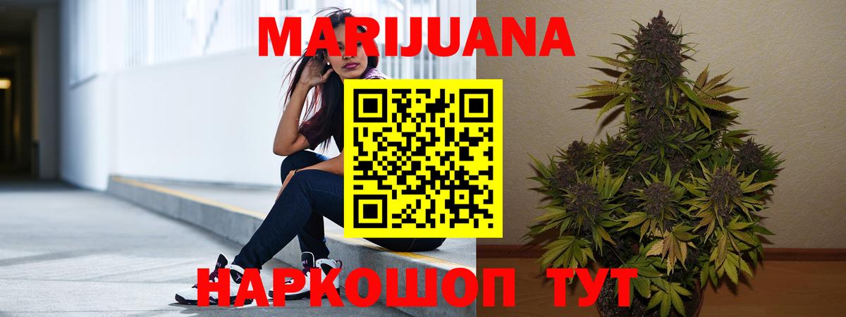 Конопля конопля  Бошки марихуана план  Кисловодск  Бошки марихуана MAZAR  Вход с VPN  Каннабис индика 